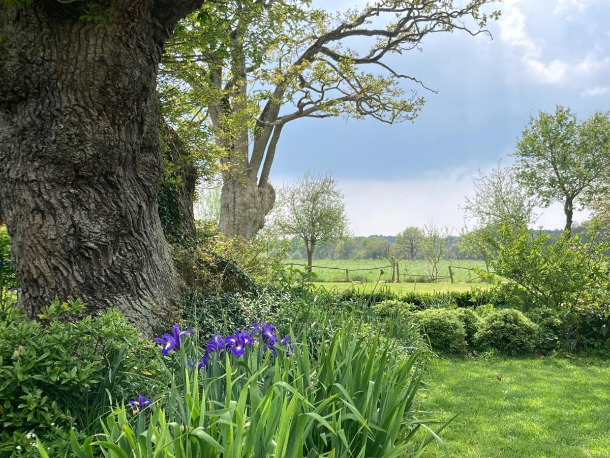 Chambre d’hôtes Douce Heure de Chêne Plescop Extérieur photo